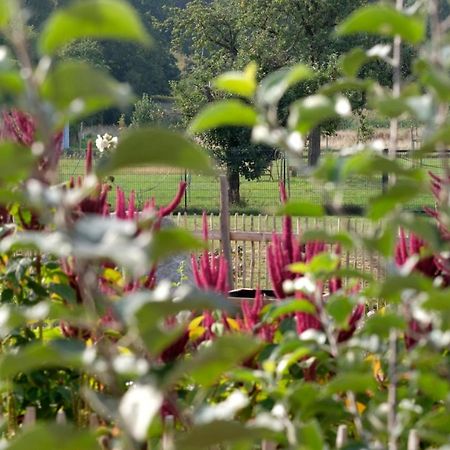 Ferienwohnung Mohnblume Pulzig Eksteriør bilde