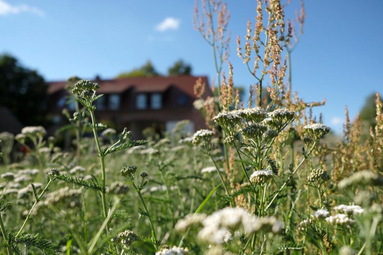 Ferienwohnung Mohnblume Pulzig Eksteriør bilde