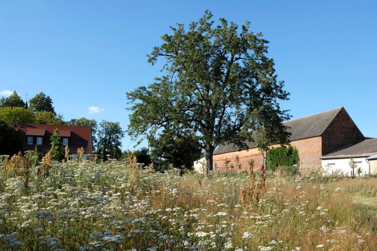 Ferienwohnung Mohnblume Pulzig Eksteriør bilde